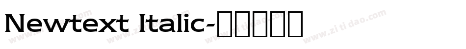 Newtext Italic字体转换